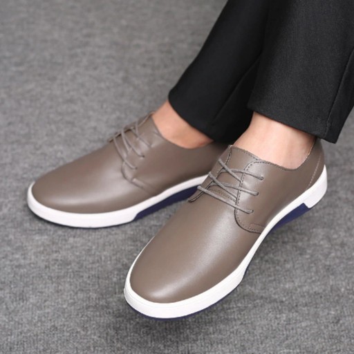 Mannelijke leren schoenen J21744