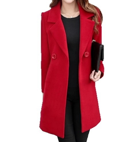 Manteau d'hiver pour femmes J2452