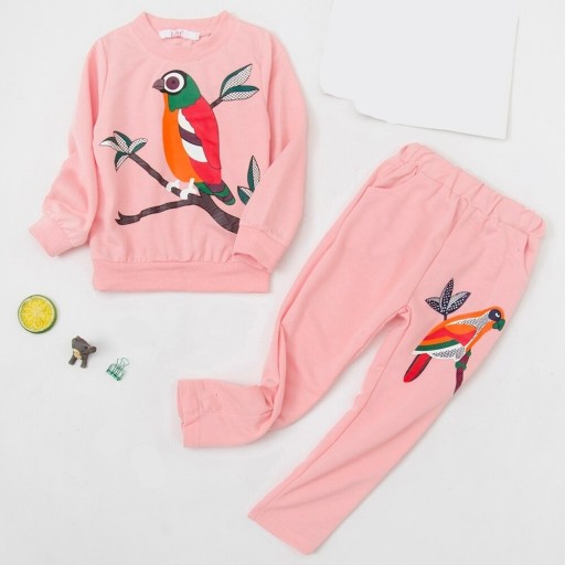 Meisjes sweatshirt en broek L1099