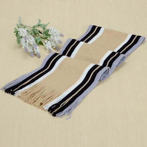 Men's Fashion Winter Scarf J755