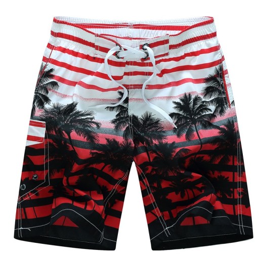 Men's Palm Beach Shorts J2762