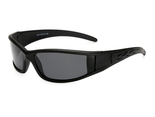 Men's Sunglasses E1998