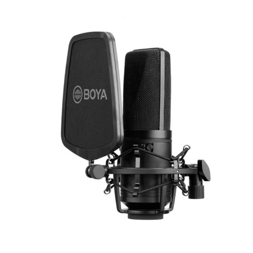 Microfoon met popfilter
