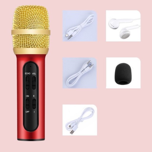 Microphone à main avec accessoires