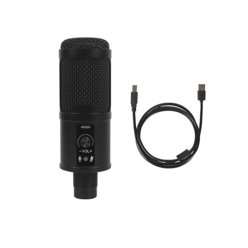 Microphone de bureau K1500