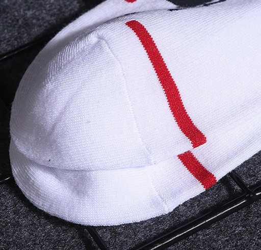 Miesten puuvillasukat A2453