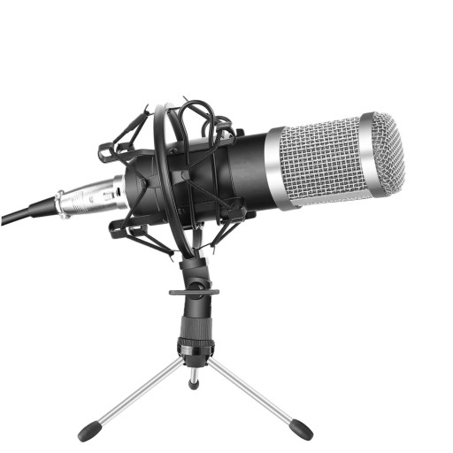Mikrofon mit Ständer K1481