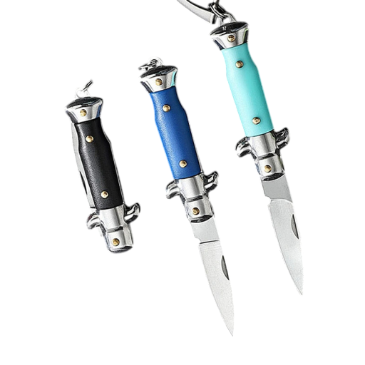 Mini coltello pieghevole in acciaio inossidabile da 10 cm con portachiavi EDC coltello da tasca Portachiavi compatto Strumento outdoor Escursionismo Viaggi Gite