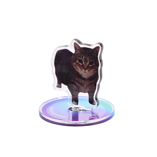 Mini décoration de chat 5 cm Socle rotatif 360° Chat tigré Oiiai pour table, étagère ou tableau de bord Support bleu violet rose