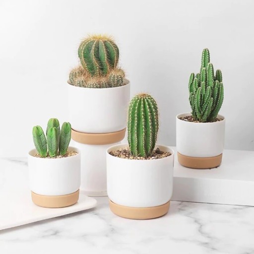 Mini pot de fleurs avec soucoupe
