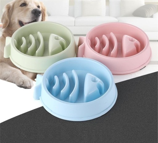 Miska anti-gloutonnement avec motif de poisson