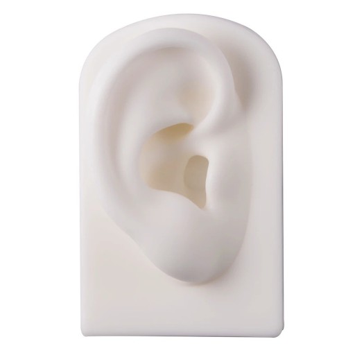 Modelo de silicone da orelha direita 7,8 × 4,9 × 4 cm Modelo de treino macio para prática de piercing e tatuagem