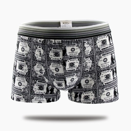 Moderne Herren-Boxershorts mit Dollar-Print