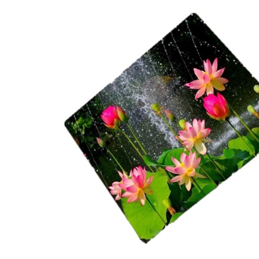 Mouse pad K2508