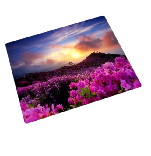 Mouse pad K2509