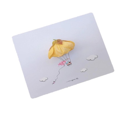 Mouse pad K2531