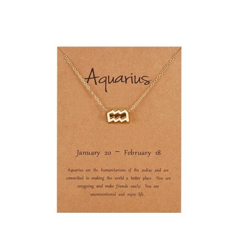 Naszyjnik damski ze znakiem zodiaku D185