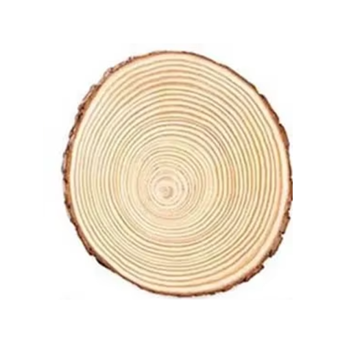 Natural Wood Slice 14–16 cm Thickness 1.5 cm Wooden Disk for Decorations Candle Holder Rustic Wedding Decoration DIY Crafts