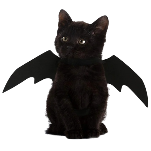 Netopýří křídla pro kočku Halloweenský obleček pro kočky Roztomilý obleček pro kočky