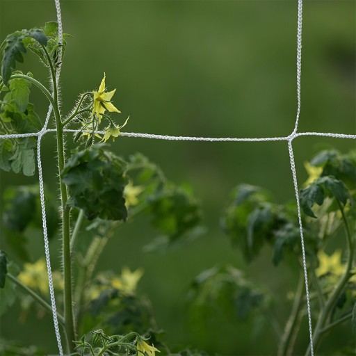 Netz für Kletterpflanzen