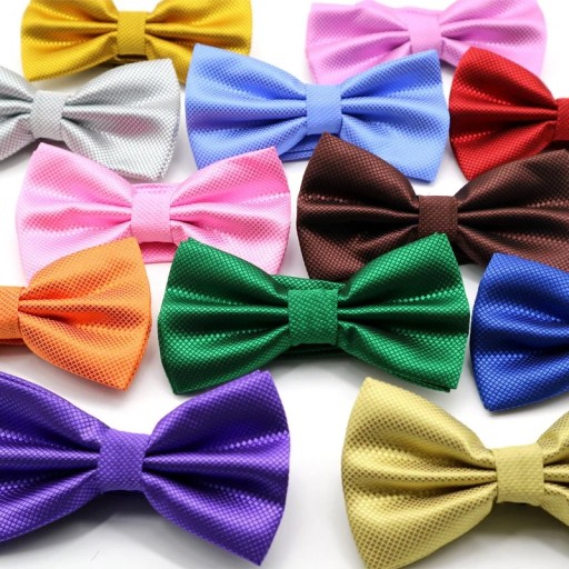 Nœud papillon pour homme élégant Nœud papillon de soirée Taille réglable Accessoire stylé pour bals, mariages et événements formels Design classique et moderne
