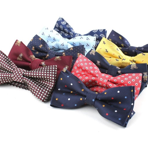 Nœud papillon pour homme T1295