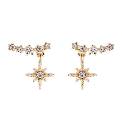 Női lógó fülbevaló H769