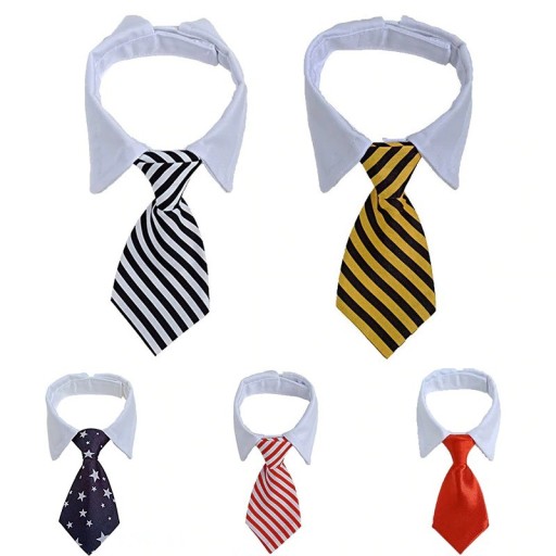 Nyakörv nyakkendővel