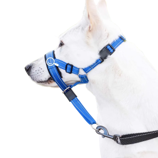 Nylon Muzzle Harness for Dogs Size L Muzzle Circumference 29.5–37.6 cm Neck Circumference 42.7–54.6 cm Adjustable Comfortable Harness