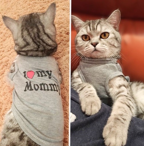 Obleček pro kočku I LOVE MY MOMMY, I LOVE MY DADDY