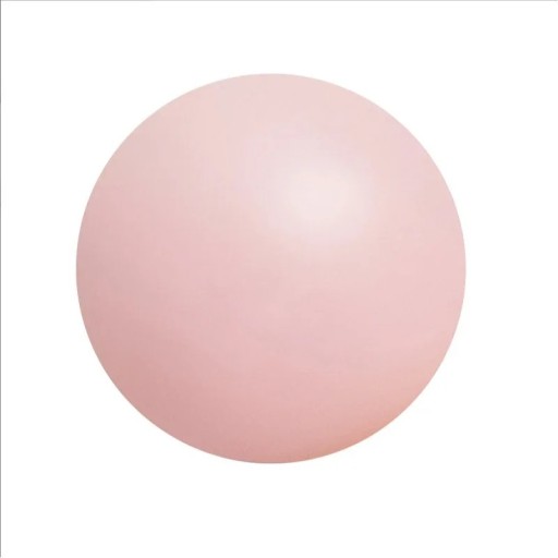 Oefenbal 25 cm voor dames voor yoga en pilates Versterking van benen en billen Versterkte antislipbal met barstbeveiliging