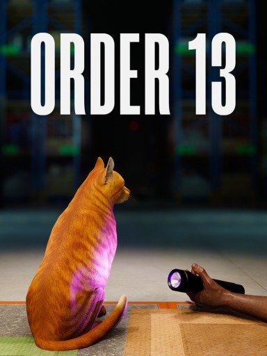 ORDER 13 PC Steam CD Key CD Sleutel