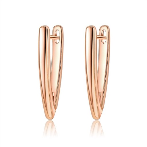 Orecchini a cerchio da donna H724