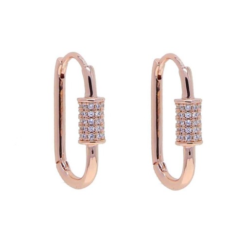 Orecchini da Donna G1274