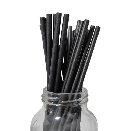 Pailles en papier noires jetables pour boissons 25 pièces pour fêtes célébrations repas et service de boissons