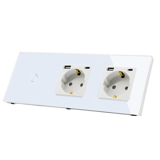 Panou de montare alb cu 2 prize tip F și porturi USB și USB-C cu comutator tactil 1-gang. Soluție modernă pentru acasă și birou.
