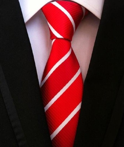 Pánská kravata T1200