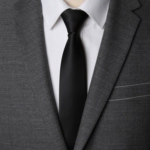 Pánská kravata T1221