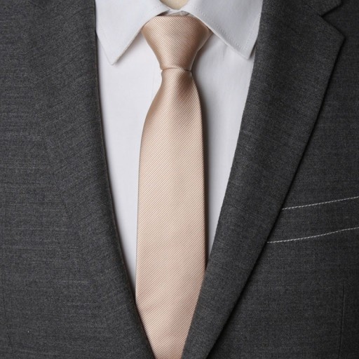 Pánska kravata T1221