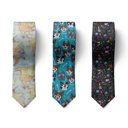 Pánská kravata T1282
