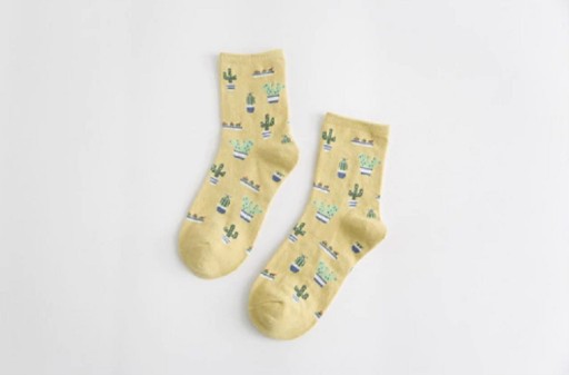 Pánske ponožky s kaktusmi