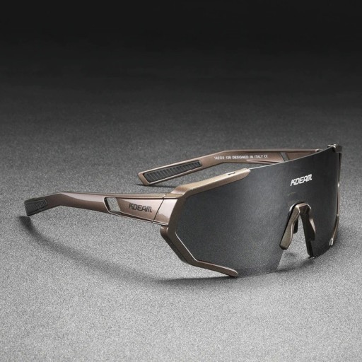 Pánské sluneční brýle E2124