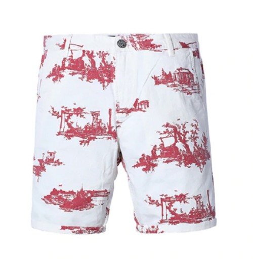 Pantaloni corti da uomo con stampa A3