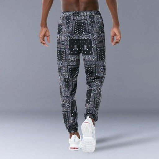 Pantaloni da uomo con motivo F1553
