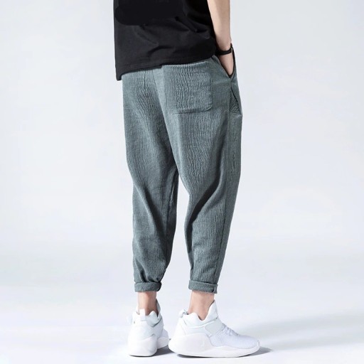 Pantalons pour hommes F1366