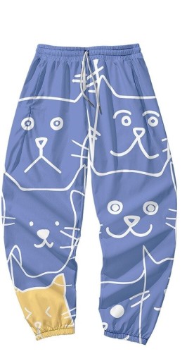 Pantalons pour hommes F1370