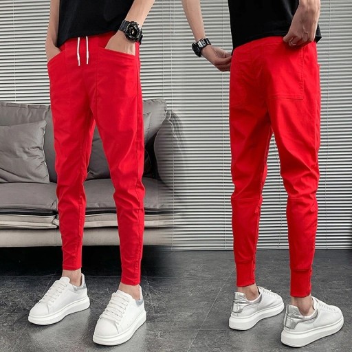 Pantalons pour hommes F1520