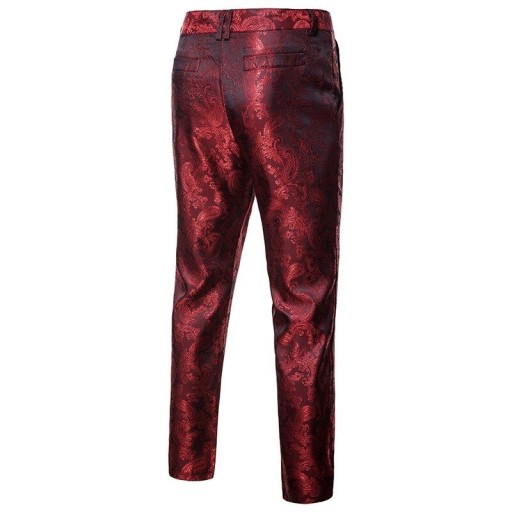 Pantalons pour hommes F1749
