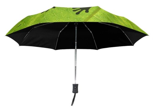 Parapluie avec grenouille T1413