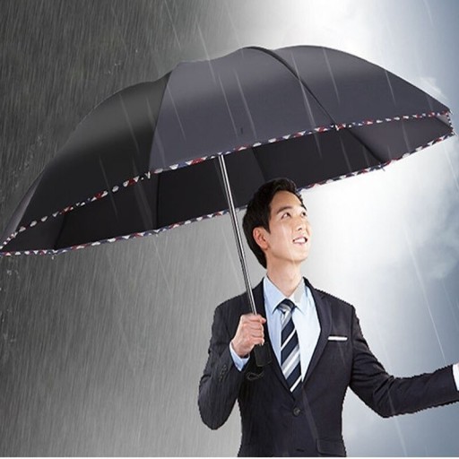 Parapluie T1402
